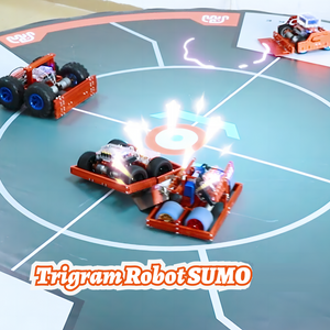 Trigram Robot SUMO